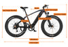 Ranger Fat Tire All-Terrain Electric Bike