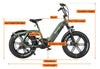 Pony Step-Thru Electric Bike