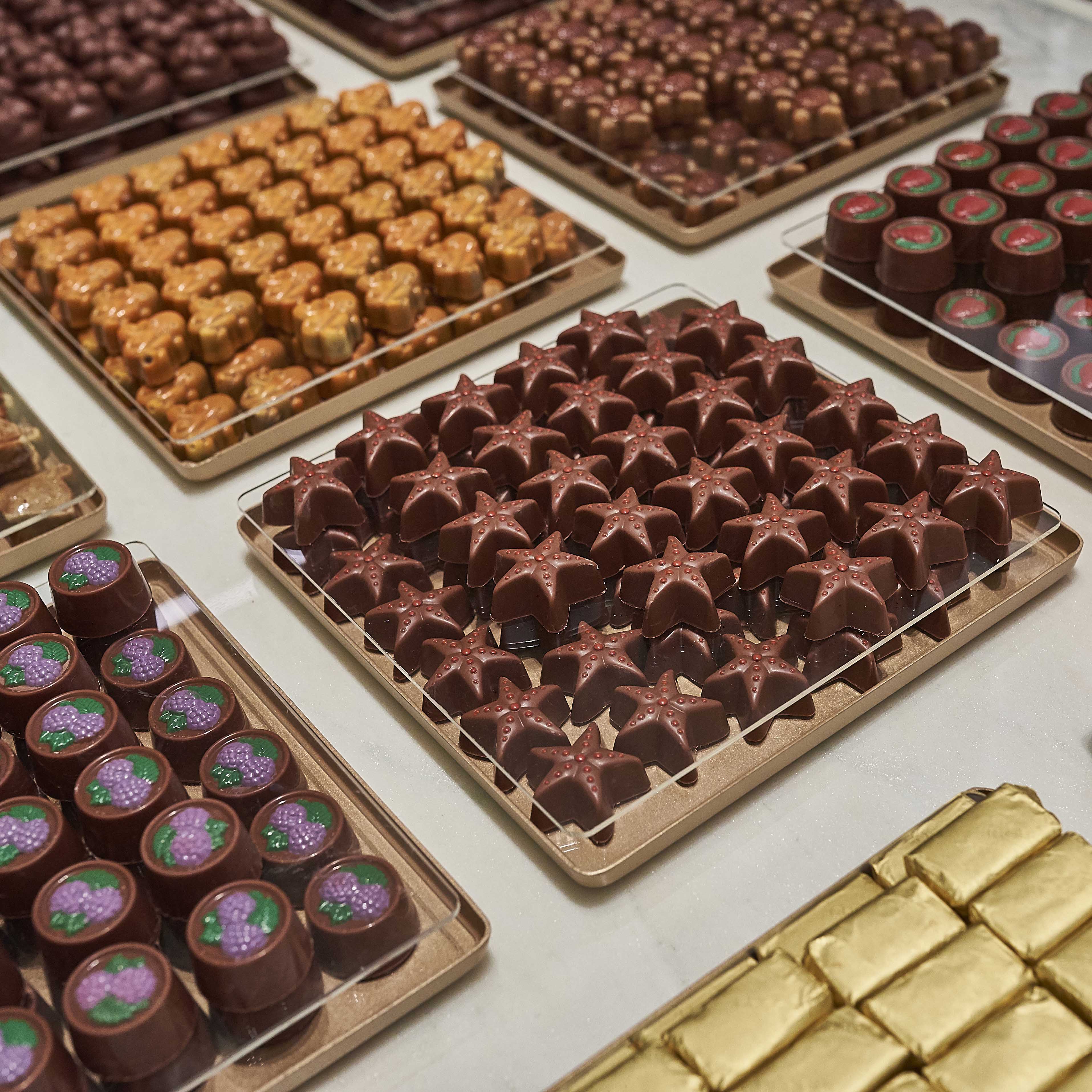 Фабрика шоколада отзывы. Шоколадная фабрика. Фабрика шоколада. Шоколадная фабрика шоколад. Формование шоколада.