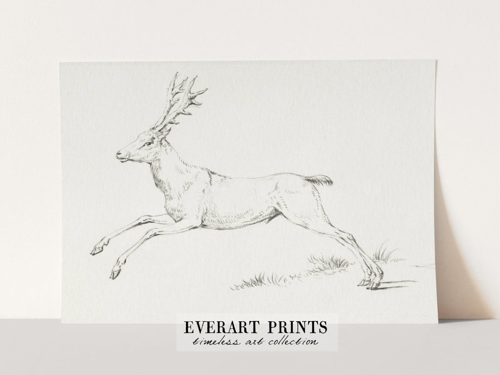 deer jumping drawing