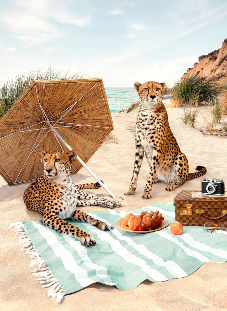 Paul Cheetahs – Pool At The Fuentes