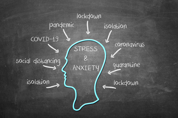 chalkboard drawing of a head and stressors around it