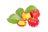 Mit rund 1700 mg Vitamin C pro 100 g gilt die Acerola-Kirsche als der absolute Star-Vitaminspender unter den Früchten