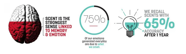 75% of all emotions generated every day are due to smell