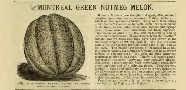 Burpee's Farm Annual 1882, melon de Montréal