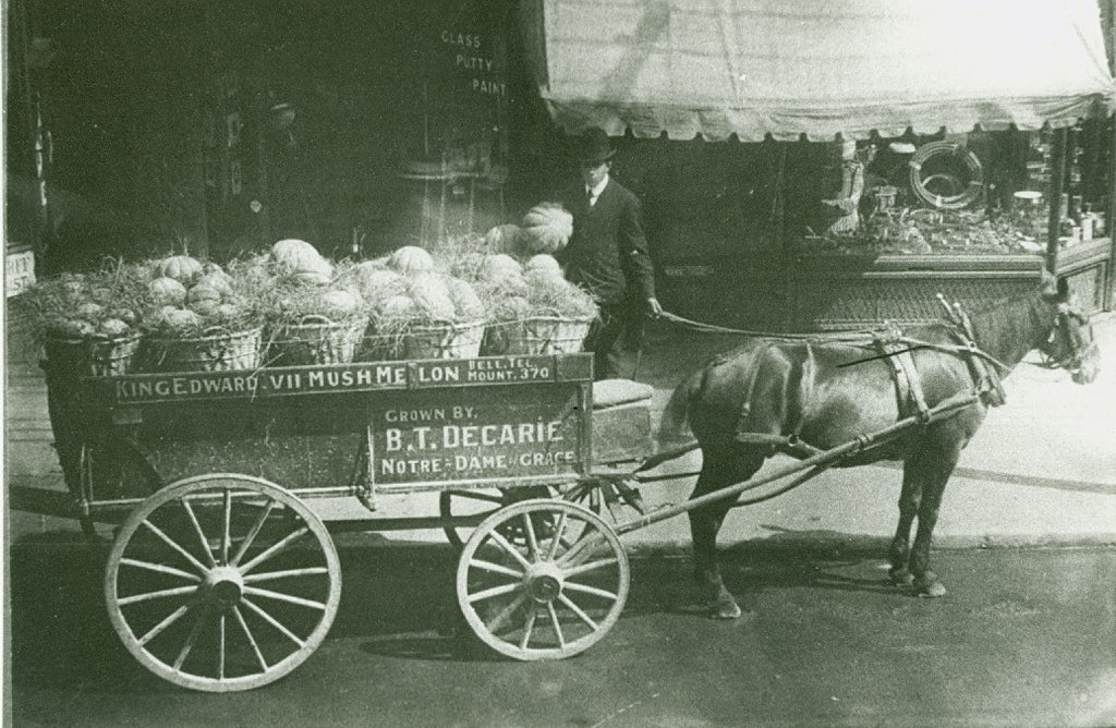 Anatole Décarie livre des melons de Montréal à cheval