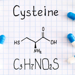 L-cysteine study by avenir