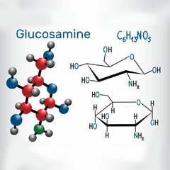 Glucosamine reasearch by avenir