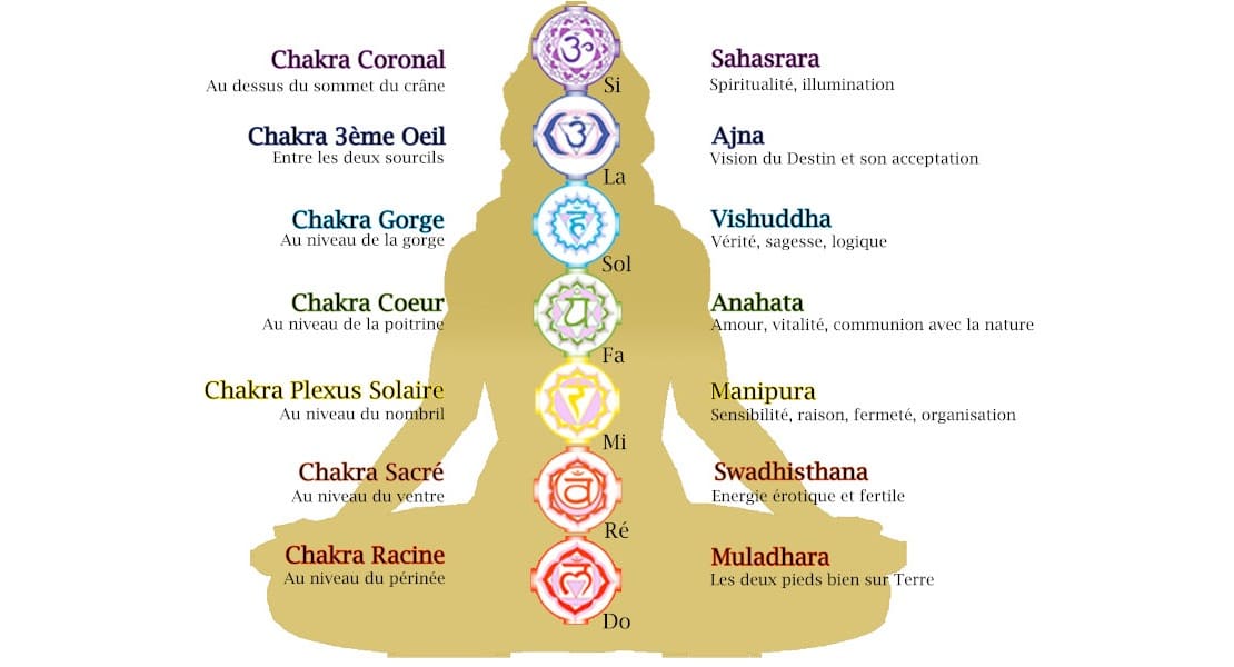 Diagramme de correspondance des Notes de Musique avec les Chakras