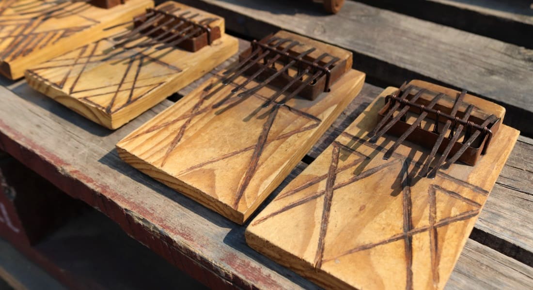 Plusieurs Kalimbas traditionnels disposés en rangée sur une table