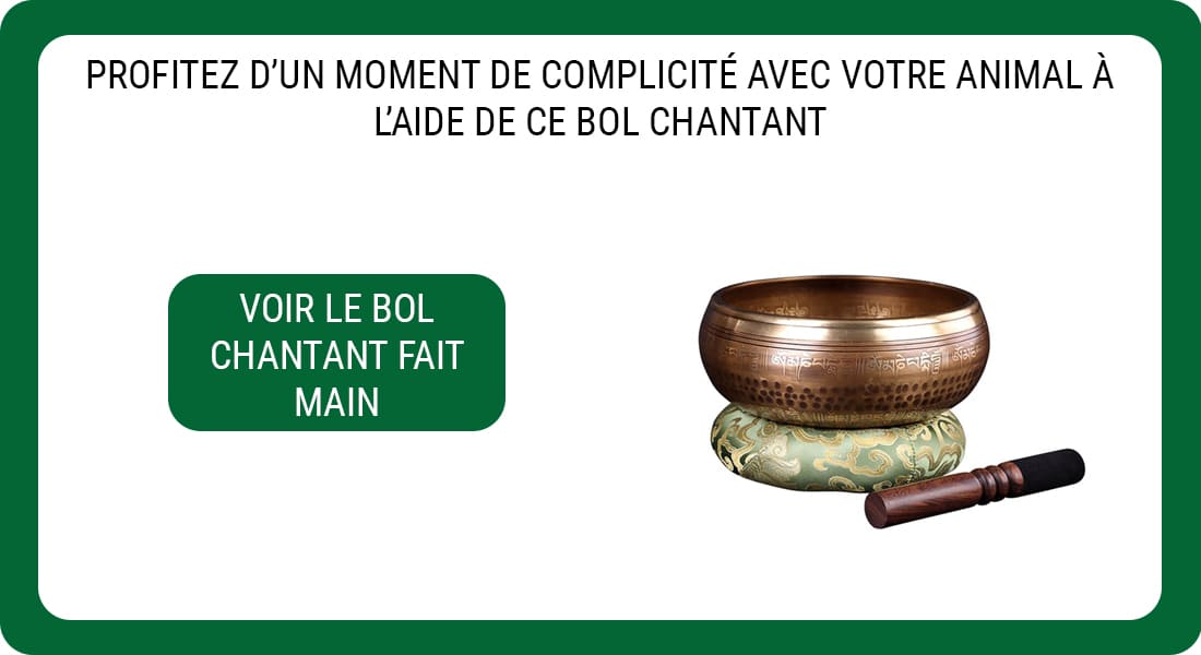 Une publicité pour un Bol Chantant Fait Main.