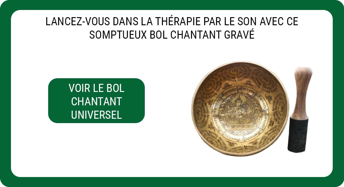 Une publicité pour un Bol Chantant de type Universel pour tous les usages.