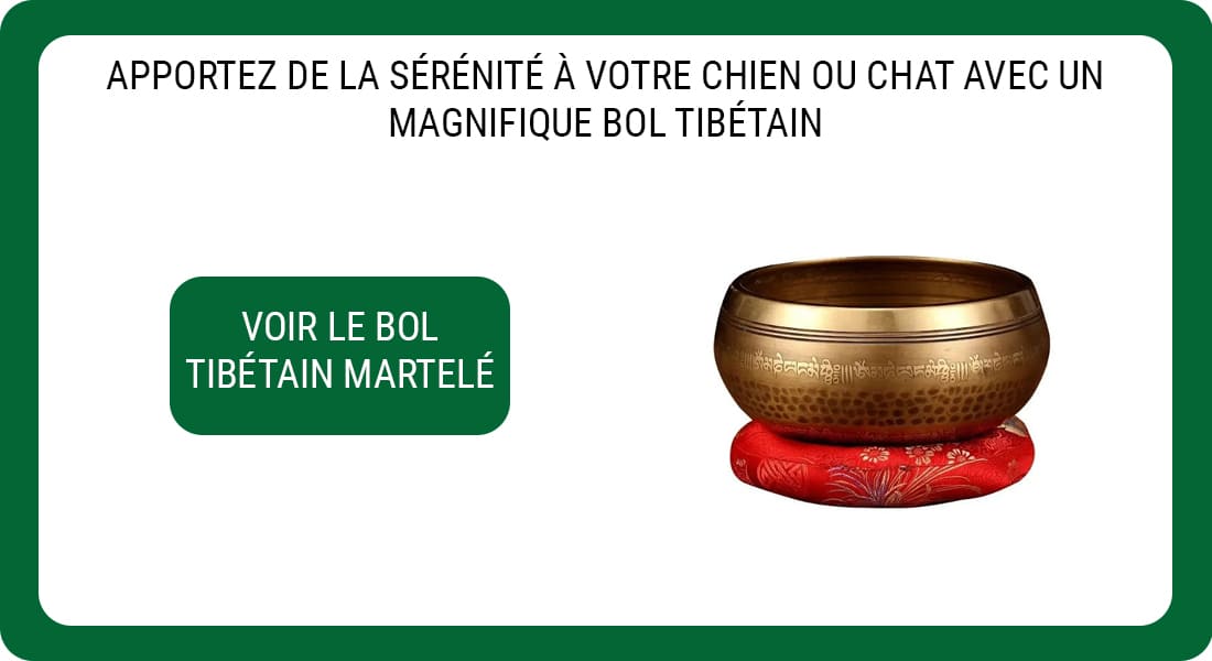 Une publicité pour un Bol Tibétain Martelé.