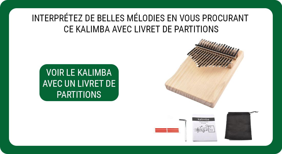 Une publiclité pour un Kalimba avec livret de Partitions