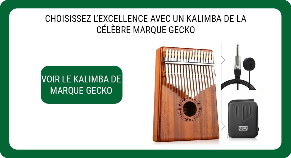 Une publicité pour un Kalimba de la marque Gecko modèle K17KEQ