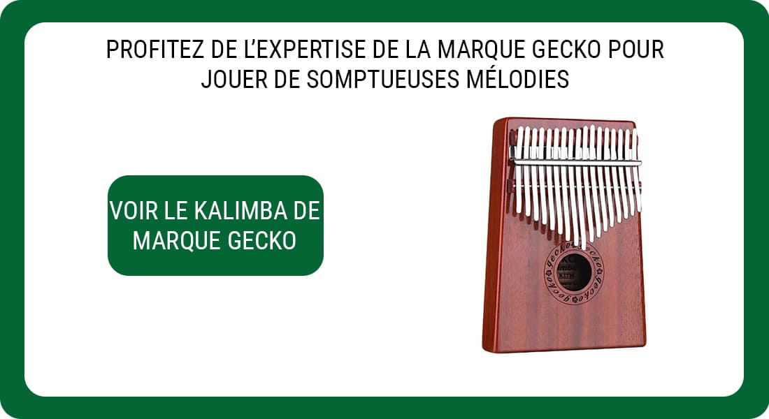 Une publicité pour un Kalimba de marque Gecko modèle K17MBR