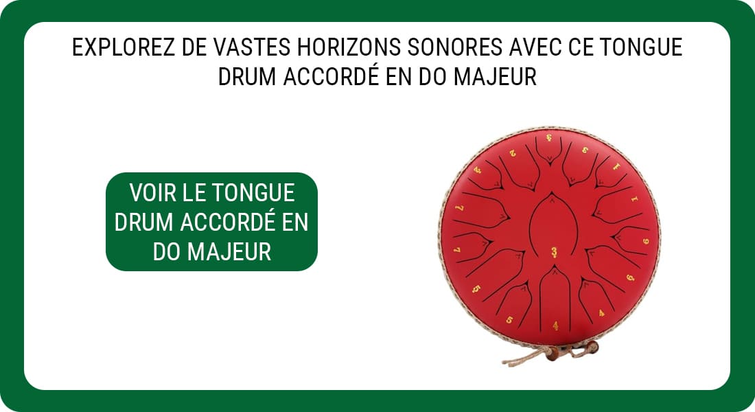 Une publiclité pour un Steel Tongue Drum de 440 Hz accordé en Do majeur.