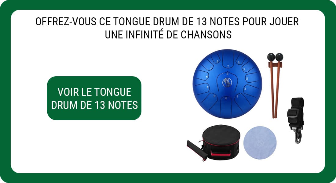 Une publicité pour un Tongue Drum de 13 Notes