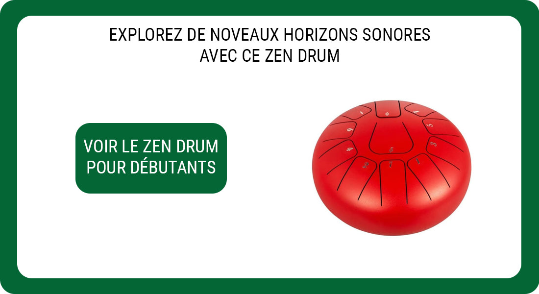 Découverte d'un instrument, ZenaDrum - Del en maternelle