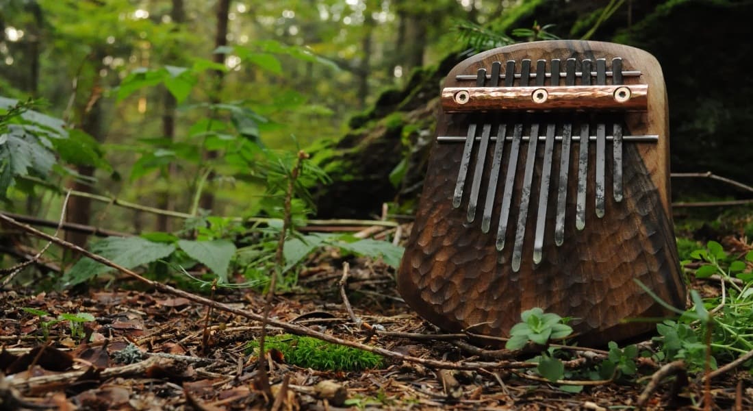 Un Kalimba en bois dans la forêt posé sur le sol