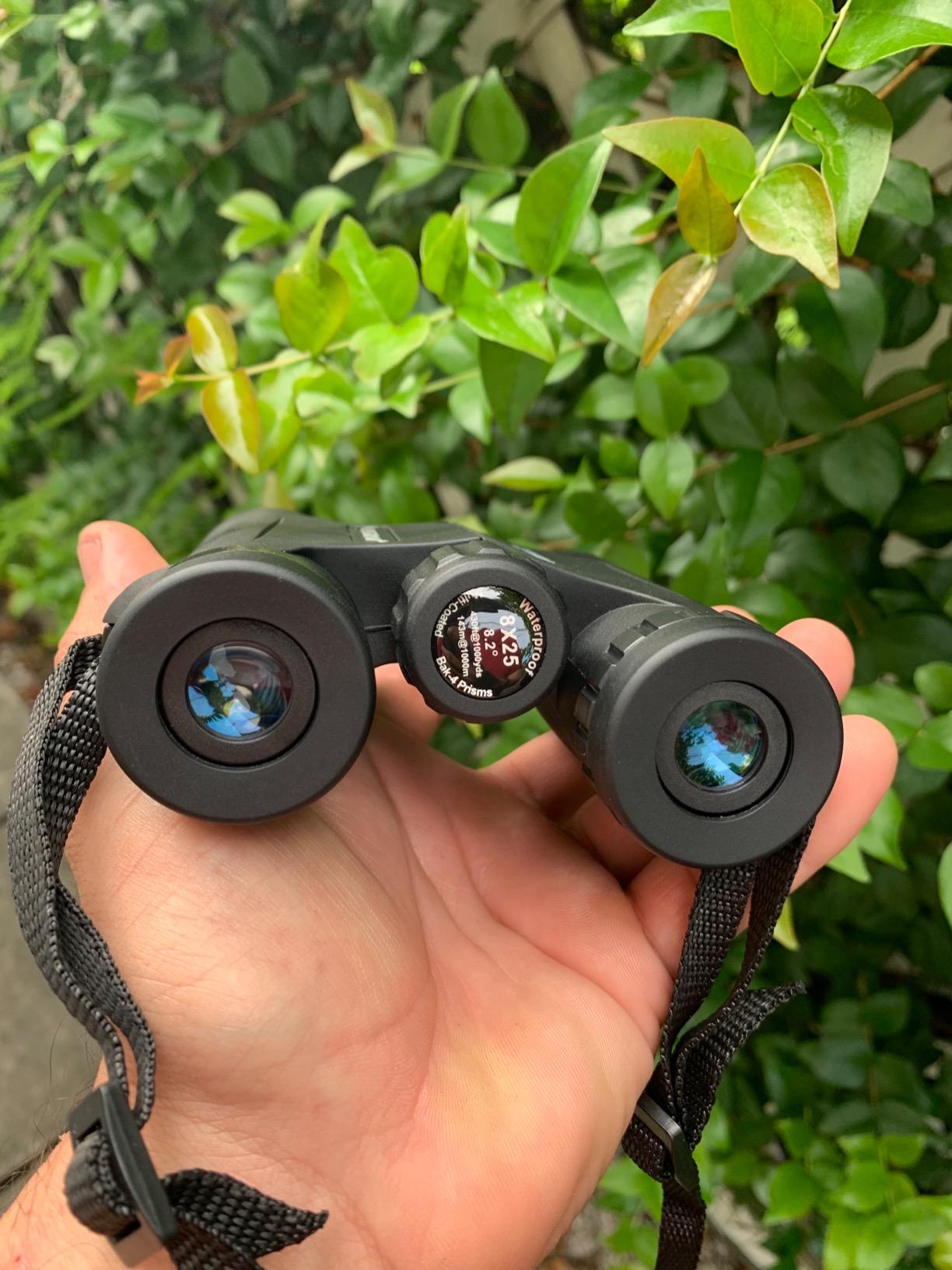 Celestron 8x25 Outland X Binocular - Black