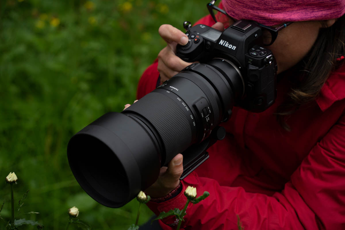 Lady photographer holding the Tamron 150-500mm on a nikon camera taking photos of flowers