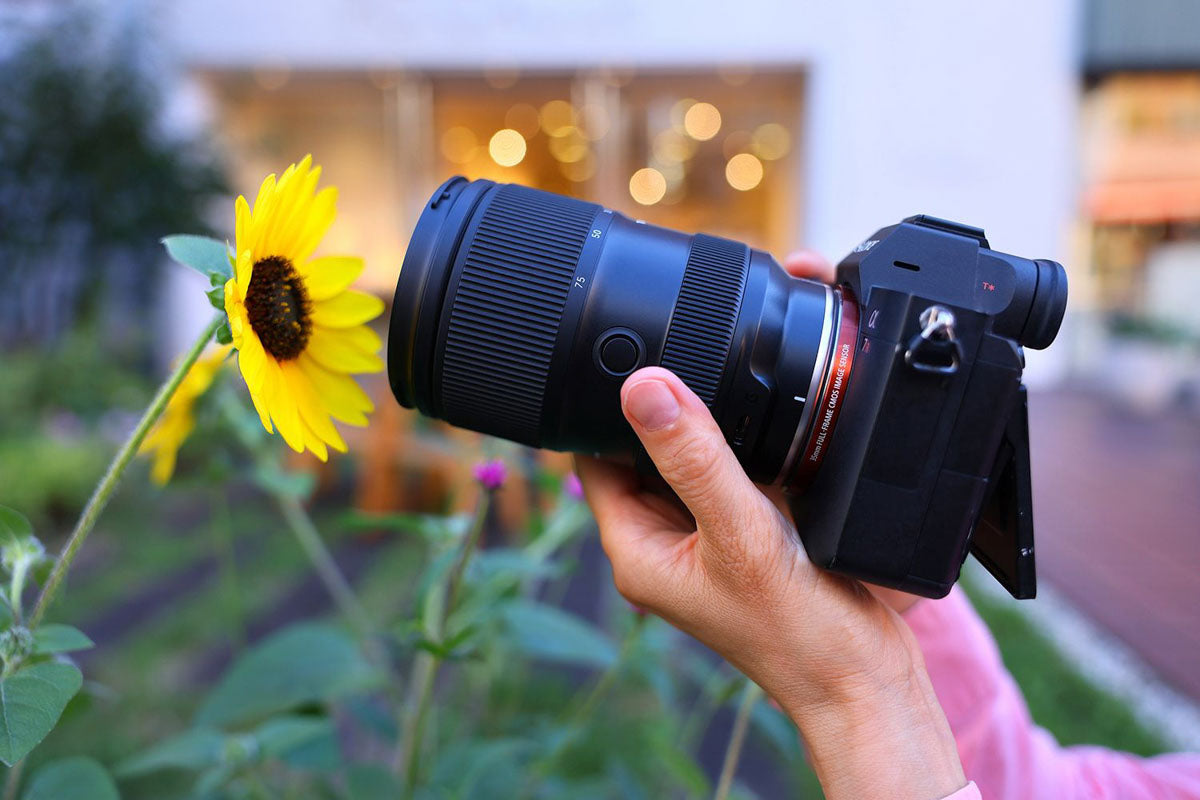 Lifestyle / Product Photo fo the Tamron 28-75mm. Handheld shooting a sunflower in the sunshine