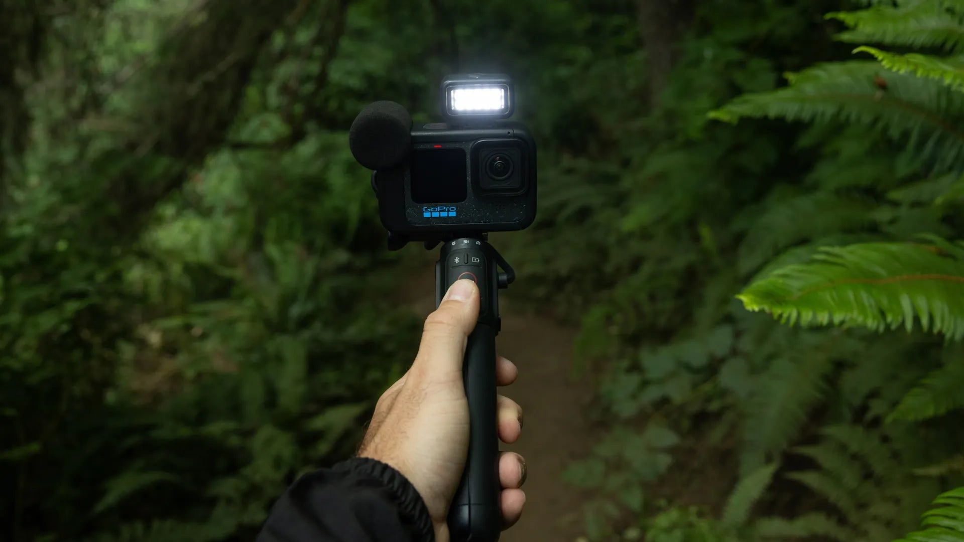 Photo of the GoPro with mount / tripod and light in a dark forest