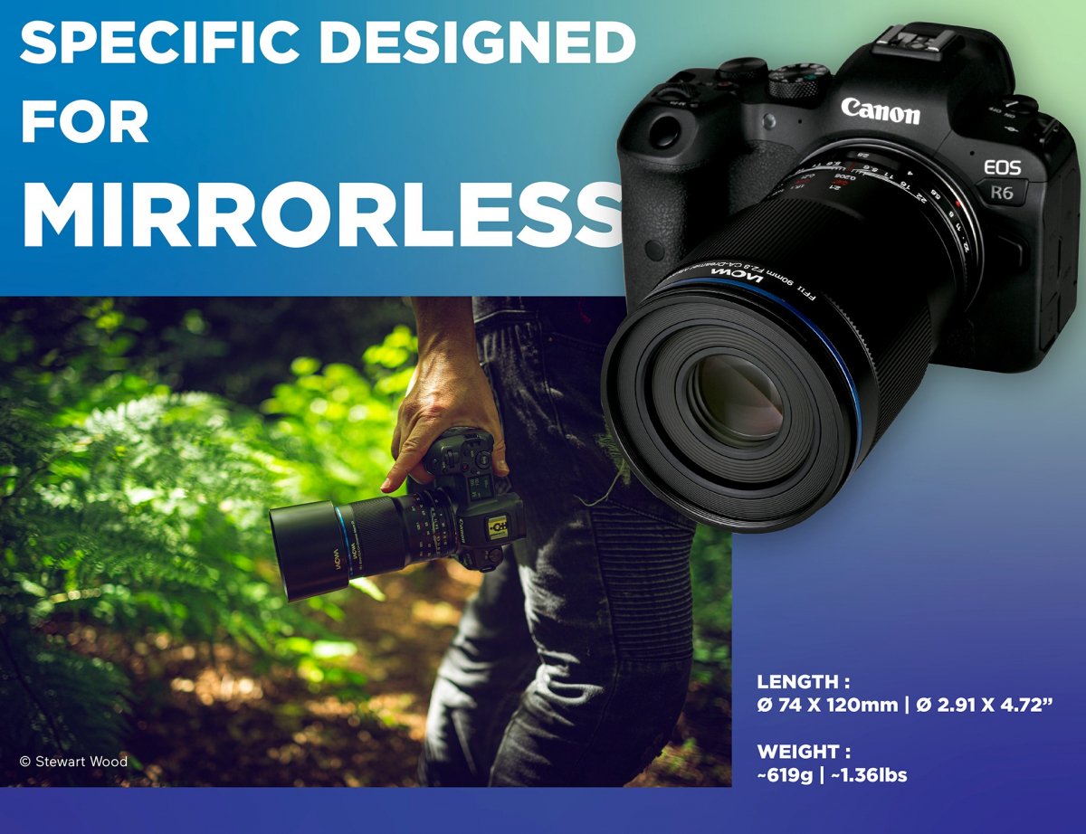 Designed for mirrorless cameras info graphic