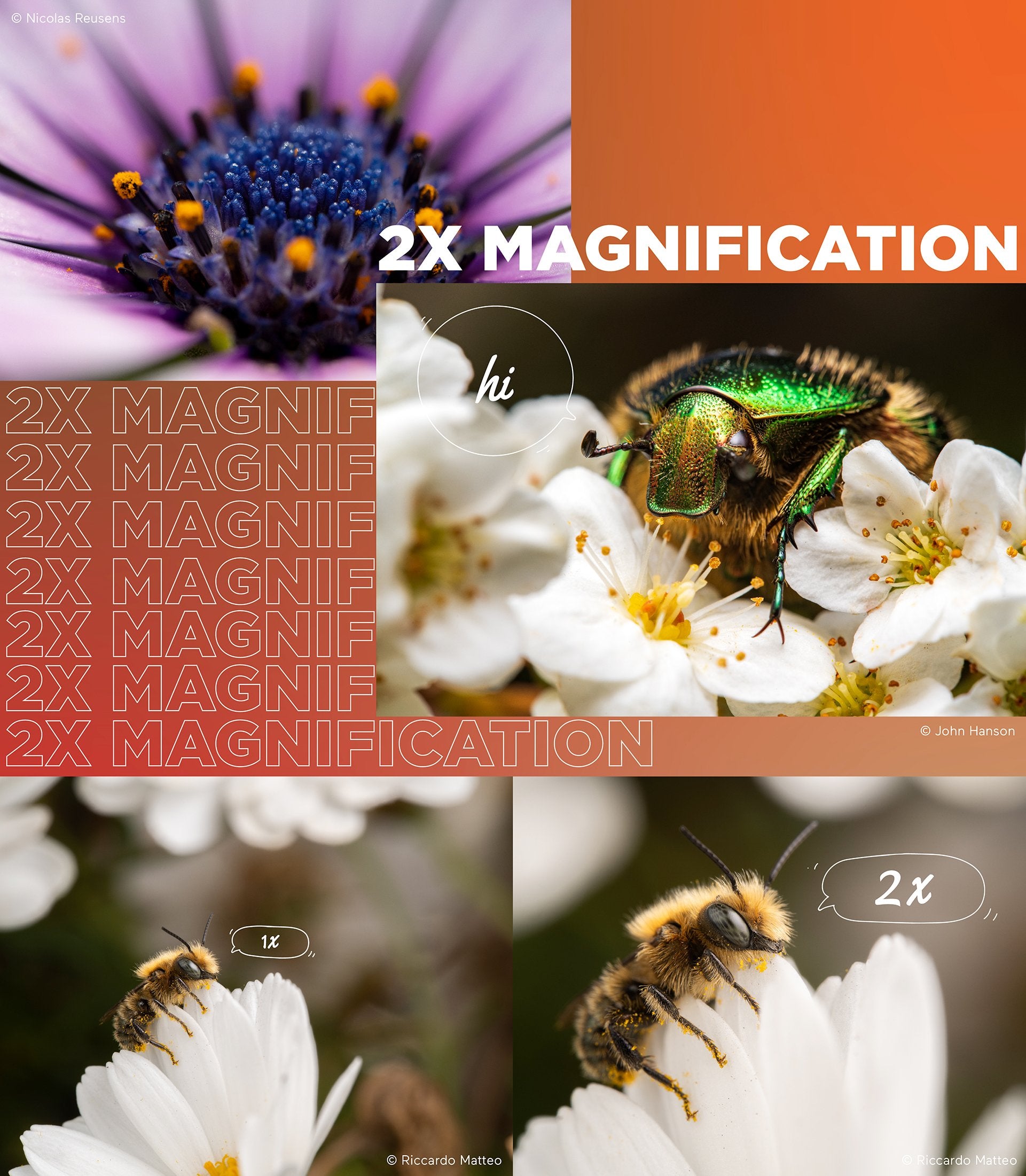 Magnification example photo