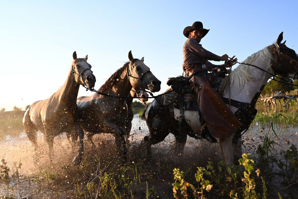 Photo of another wrangling session taken on the Nikon z7ii showcasing the autofocus capabilities