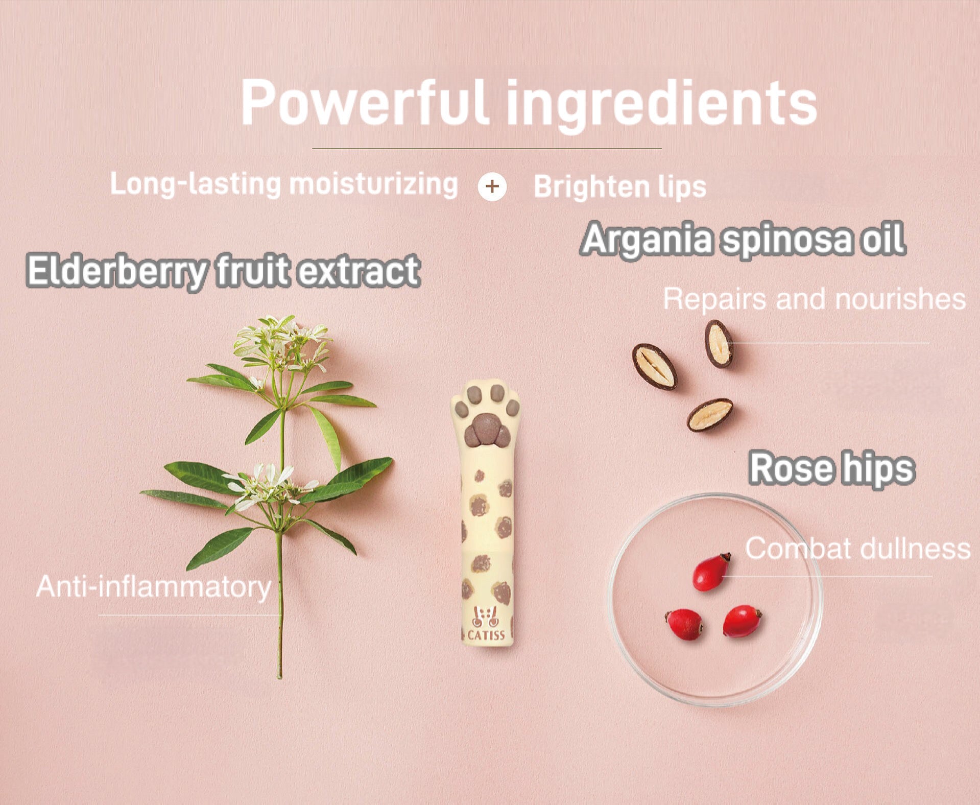 lip balm powerful ingredients