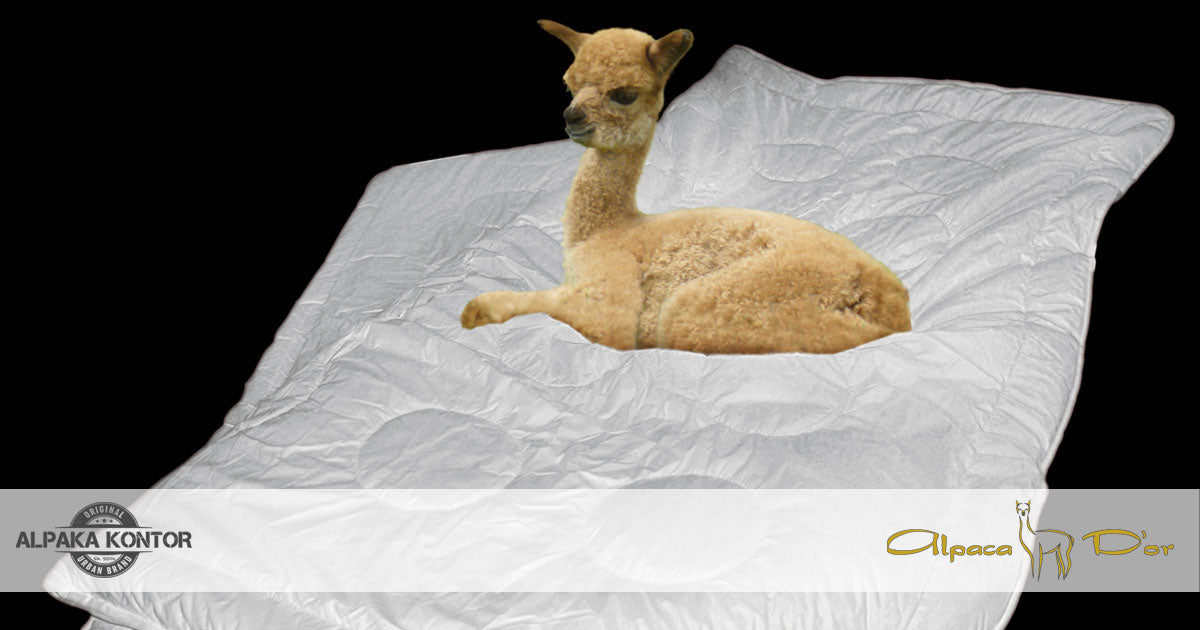 Alpaca D'or - Hausmarke der Avalon Trading & Consulting