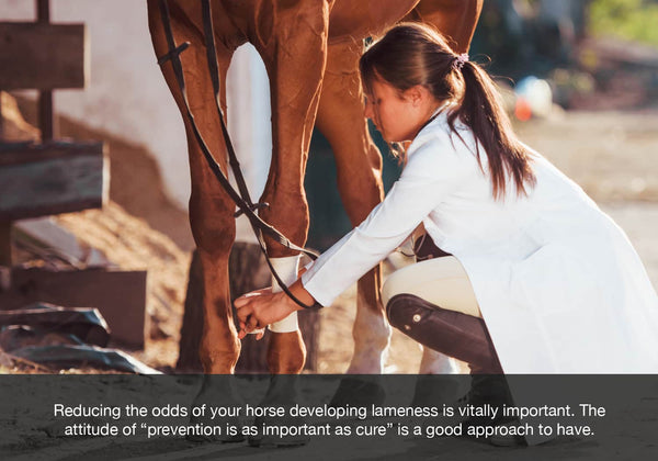 Reducing the odds of your horse developing lameness blog image equ streamz