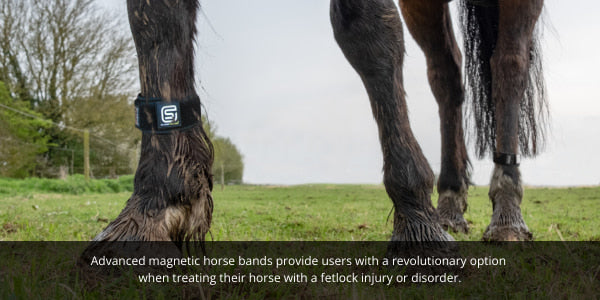 Advanced magnetic horse bands provide users with a revolutionary option  when treating their horse with a fetlock injury or disorder.