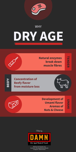 Why Dry Age Infographic