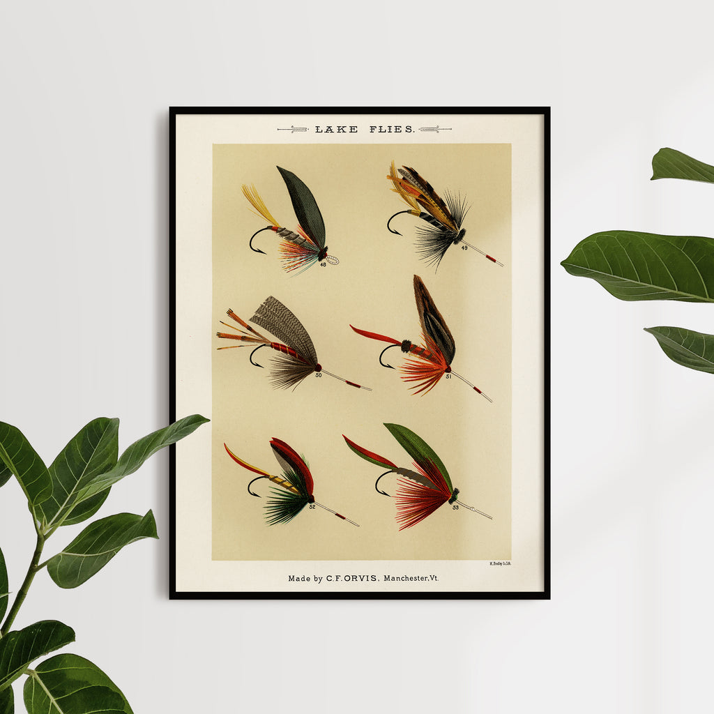 Buy Fly Fishing Fly Fishing Lures Fine Art Print Fine Art Poster