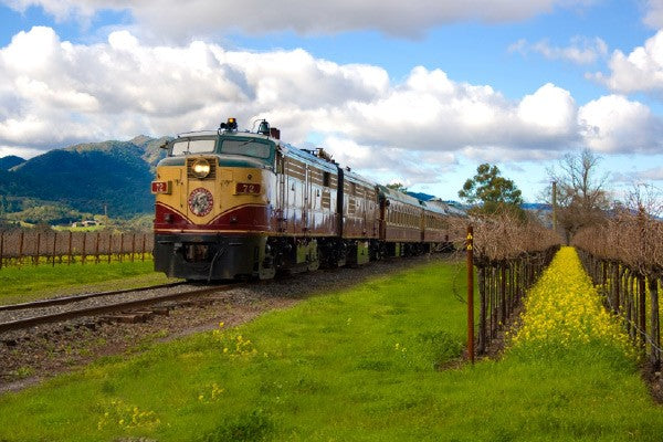 train through vineyard