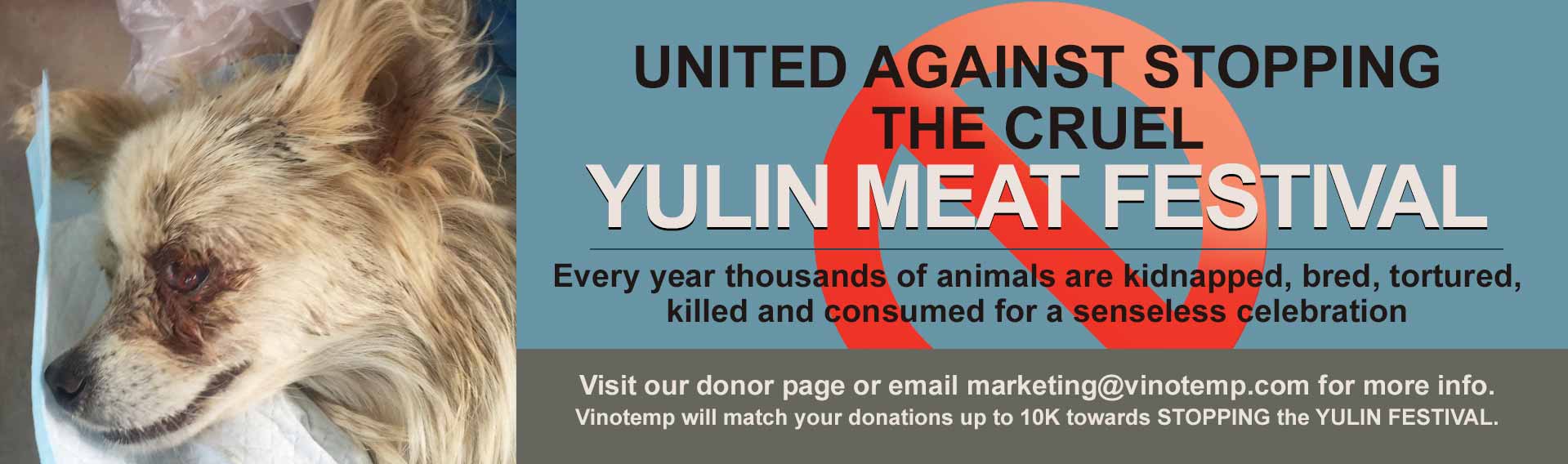 Stop Yulin Festival