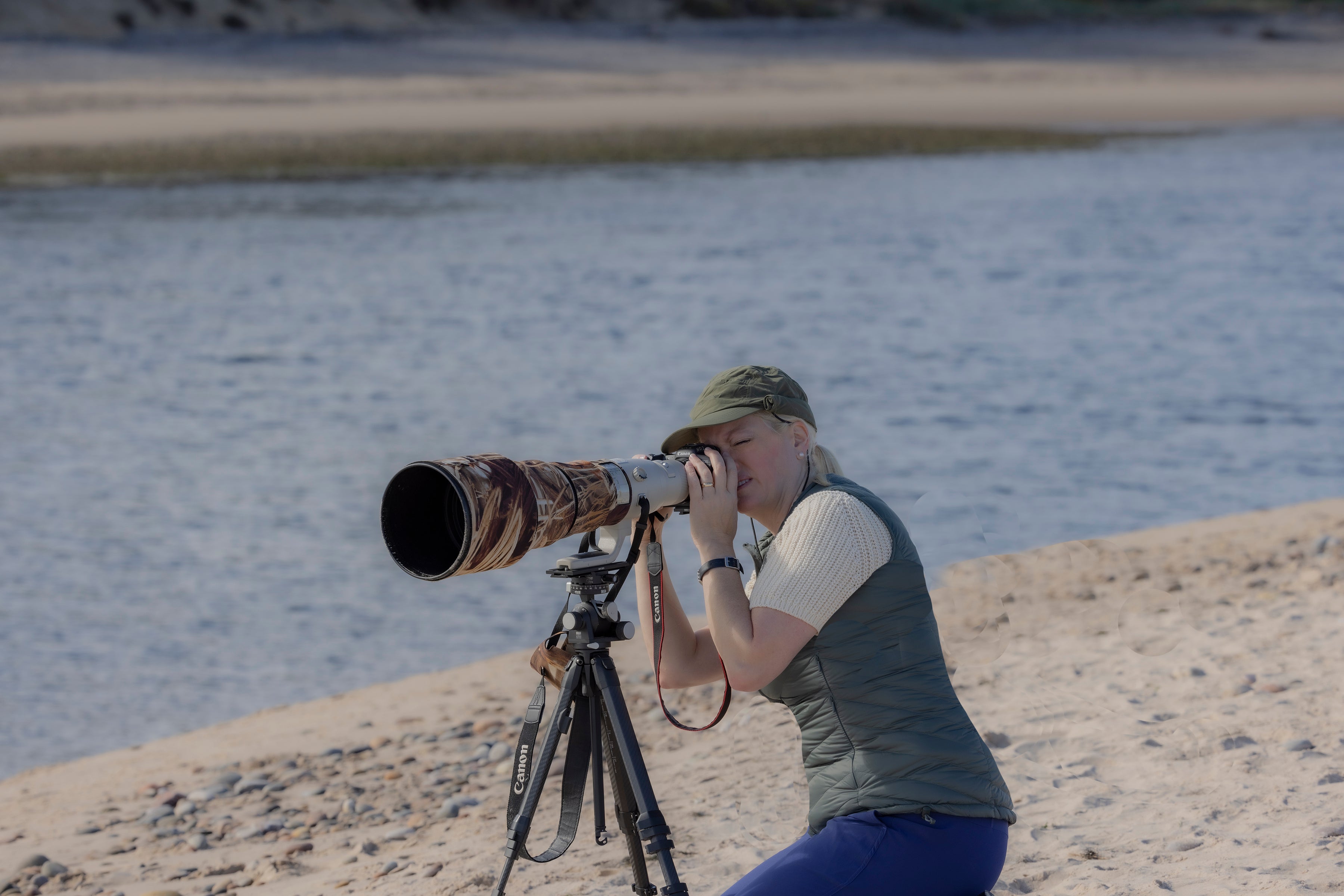 Alice Photographing Seals in Scotland