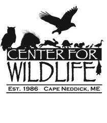 Center for Wildlife logo