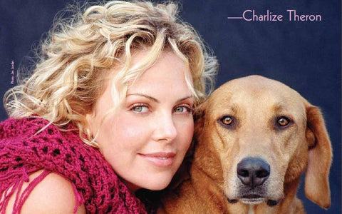 dog loving celebrities-dog celebrities-celebrity dog news-celebrity dog names-instagram celebrity dog-celebrity dog lovers-celebrity dog