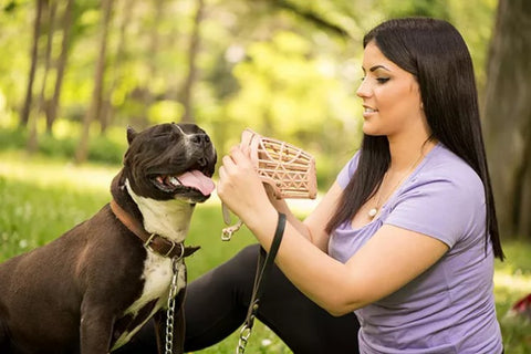 safe dog muzzle-is it safe to dog muzzle a dog- how to choose a safe dog muzzle
