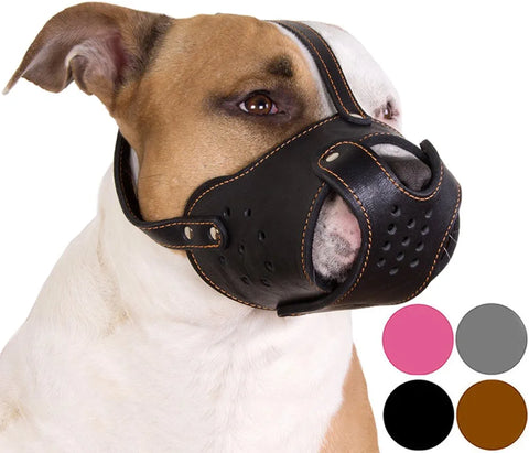 dog muzzle for barking-dog muzzle to stop barking-muzzle to stop dog barking at night-best muzzle for barking dog-best dog muzzle for barking-homemade dog muzzle for barking-anti barking dog muzzle-what kind of muzzle do you use for a barking dog- will a muzzle stop a dog from barking 