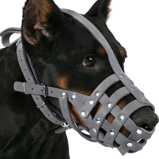 what is dog muzzle