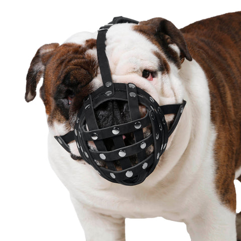 safe dog muzzle-is it safe to dog muzzle a dog- how to choose a safe dog muzzle