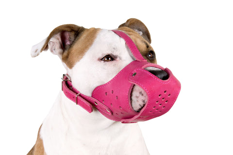 dog muzzle for barking-dog muzzle to stop barking-muzzle to stop dog barking at night-best muzzle for barking dog-best dog muzzle for barking-homemade dog muzzle for barking-anti barking dog muzzle-what kind of muzzle do you use for a barking dog- will a muzzle stop a dog from barking 