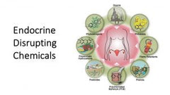 Endocrine ]Disrupting Chemicals