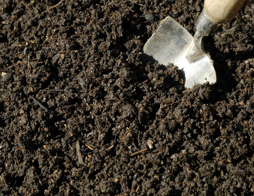 Garden shovel in soil