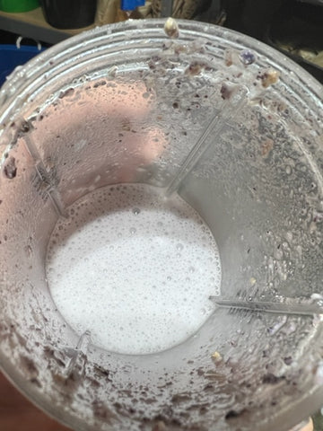 Blend sprouted blue corn into a fine liquid mush
